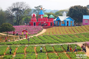 東莞松湖生態(tài)園團(tuán)隊(duì)旅游休閑度假田園生活戶外農(nóng)家樂
