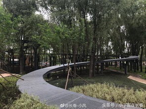 長春水文化生態(tài)園 預(yù)計(jì)十一前開放