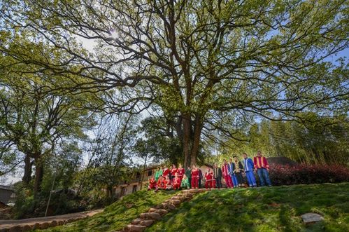 浙江擘畫詩(shī)路文化新藍(lán)圖 九市聯(lián)動(dòng)，生態(tài)為基，打造中華文脈傳承創(chuàng)新帶