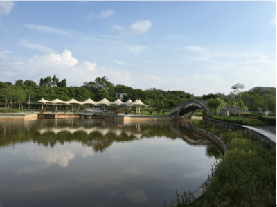 東進(jìn)下的坪山，你還認(rèn)識(shí)嗎？探秘生態(tài)園新篇